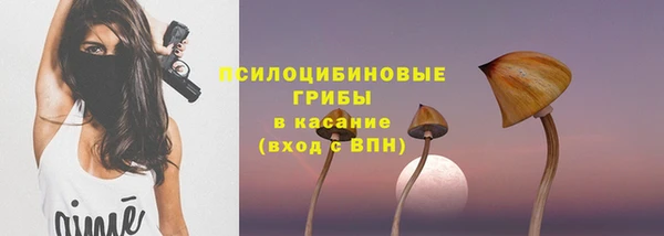 спиды Заволжск