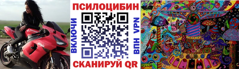 Псилоцибиновые грибы GOLDEN TEACHER  Купить закладки  Новосиль 