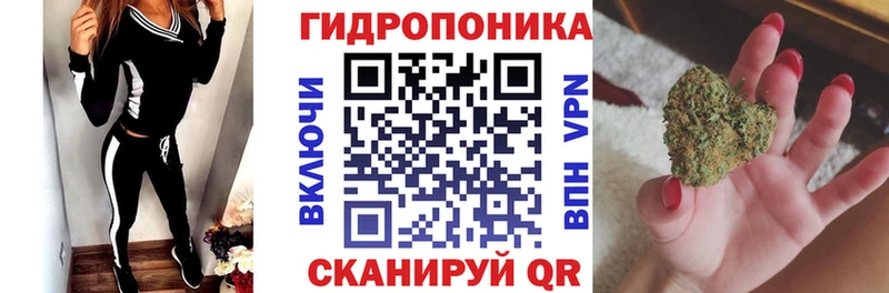 Бошки Шишки THC 21%  Купить где  Новосиль 